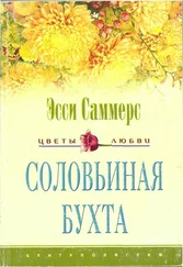 Эсси Саммерс - Соловьиная бухта
