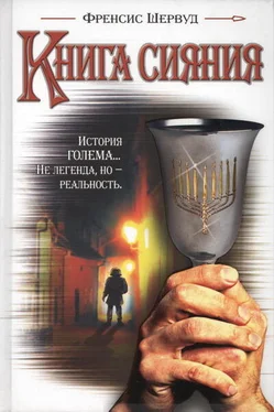 Френсис Шервуд Книга сияния обложка книги