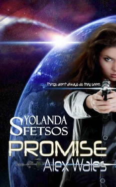 Yolanda Sfetsos Alex Wales: Promise обложка книги