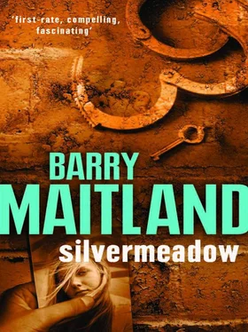 Barry Maitland Silvermeadow обложка книги