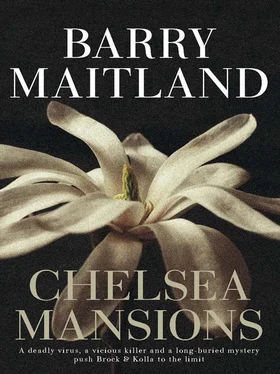 Barry Maitland Chelsea Mansions обложка книги