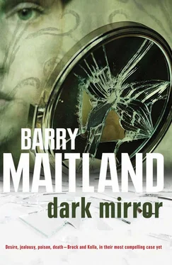 Barry Maitland Dark Mirror обложка книги