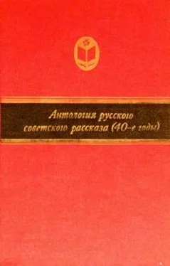 Николай Вирта Вечерние тени обложка книги