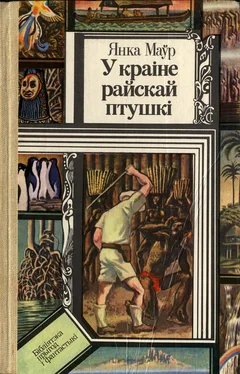 Янка Мавр У краіне райскай птушкі обложка книги