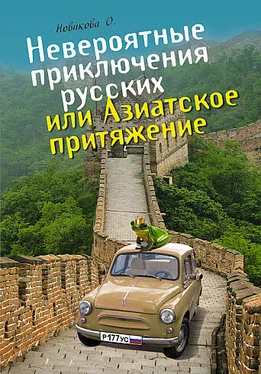 Олеся Новикова Невероятные приключения русских, или Азиатское притяжение обложка книги