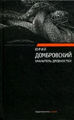 Юрий Домбровский - Хранитель древностей