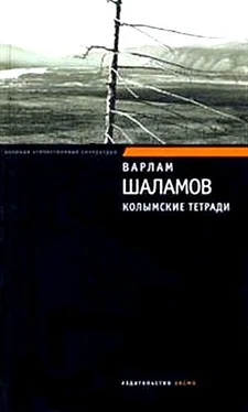 Варлам Шаламов Колымские тетради обложка книги