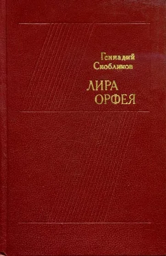 Геннадий Скобликов Лира Орфея обложка книги