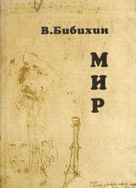 Владимир Бибихин Мир обложка книги