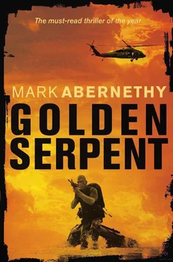 Mark Abernethy Golden Serpent обложка книги