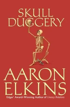 Aaron Elkins Skull Duggery обложка книги