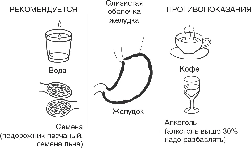 Рисунок 5 Рекомендации по защите слизистой оболочки желудка Желудочный сок - фото 6