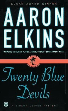 Aaron Elkins Twenty blue devils обложка книги