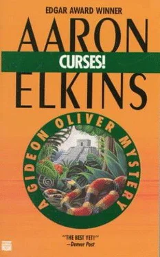 Aaron Elkins Curses! обложка книги