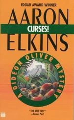 Aaron Elkins - Curses!