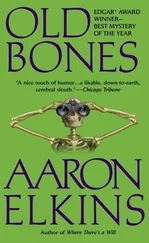 Aaron Elkins - Old Bones