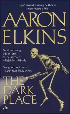 Aaron Elkins The Dark Place обложка книги