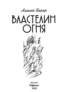 Алексей Биргер Властелин огня обложка книги