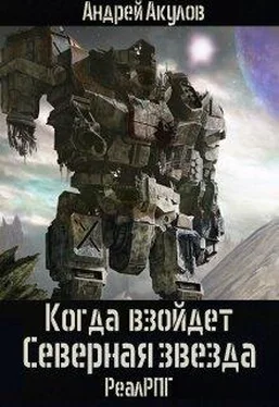 Андрей Акулов Когда взойдет Северная звезда обложка книги