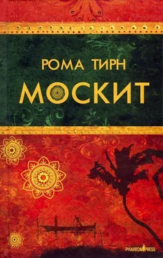 Рома Тирн Москит обложка книги