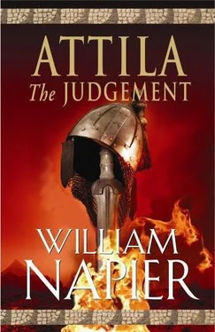 William Napier The Judgement обложка книги