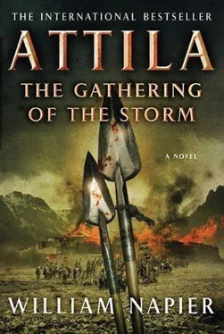 William Napier The Gathering of the Storm обложка книги