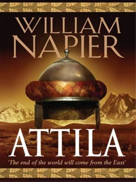 William Napier Attila обложка книги