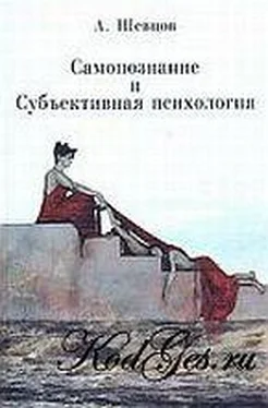 Александр Шевцов (Андреев, Саныч, Скоморох) Самопознание и Субъективная психология обложка книги