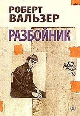 Роберт Вальзер Разбойник обложка книги