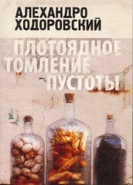 Алехандро Ходоровский Плотоядное томление пустоты обложка книги