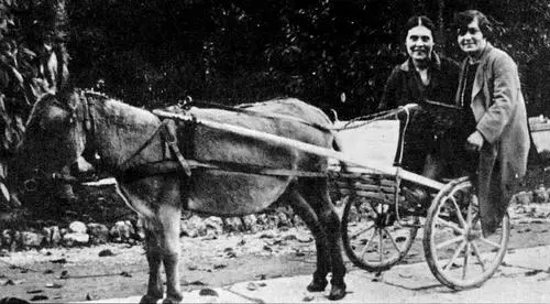 В Сальсомаджоре Италия 1925 С В Маяковским Б Пастернаком и С - фото 79