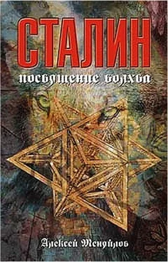 Алексей Меняйлов Сталин: посвящение волхва обложка книги