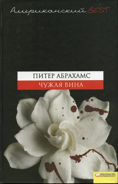 Питер Абрахамс Чужая вина обложка книги