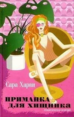 Сара Харви Приманка для хищника обложка книги