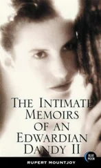 Rupert Mountjoy - The Intimate Memoirs of an Edwardian Dandy, vol.II