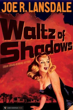 Joe Lansdale Waltz of Shadows обложка книги