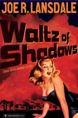 Joe Lansdale - Waltz of Shadows