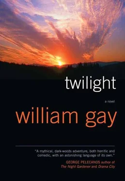 William Gay Twilight обложка книги