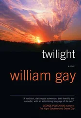 William Gay - Twilight