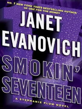 Janet Evanovich Smokin Seventeen обложка книги