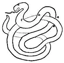 Загадка Деньги Вместо старой римской монеты и стодолларовой купюры - фото 127