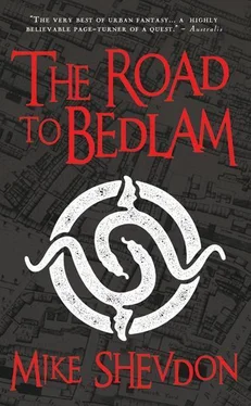 Mike Shevdon The Road to Bedlam обложка книги