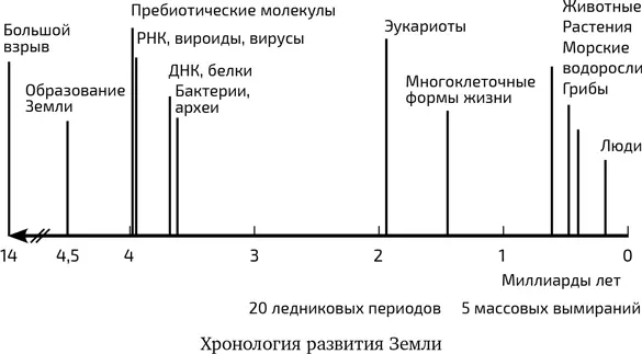 Только крупные астероиды могут достичь поверхности Земли Астероиды долетавшие - фото 3