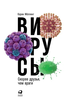 Карин Мёллинг Вирусы: Скорее друзья, чем враги обложка книги