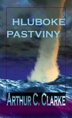 Arthur Clarke - Hluboké pastviny
