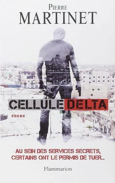Pierre Martinet Cellule Delta обложка книги