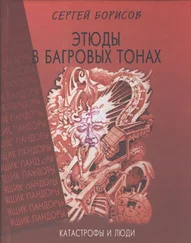 Сергей Борисов - Этюды в багровых тонах - катастрофы и люди