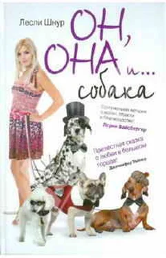 Лесли Шнур Он, она и ...собака обложка книги