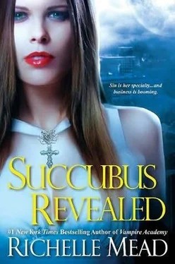 Richelle Mead Succubus Revealed обложка книги