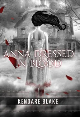 Kendare Blake Anna Dressed in Blood обложка книги